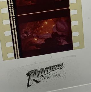 5 - Cell 35mm 1981 Raiders Of The Lost Ark Indiana Jones In Well Of Souls