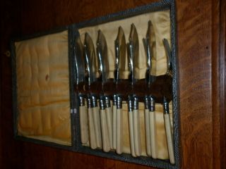 Vtg Epns Banded Stainless Nickle Set Of 6 @ Fish Knife And Fork In Leather Case