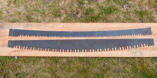 2 Vintage Two Man Crosscut Saw Blades Lumberjack Antique 5ft