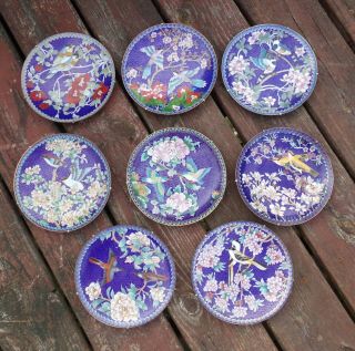 Set Of 8 Chinese Cloisonne Brass Enamel Plates Winged Jewels Ching - T 