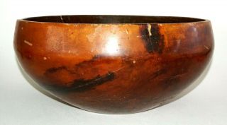 19c Hawaii Kou Wood Calabash Large Bowl W.  2x Cracks & Deep Scratches (beg) 1