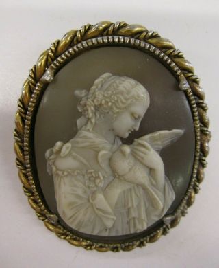 Vintage Cameo Possibly Resin Brooch,  Lady Portrait Gold Outer,  Possibly Victorian