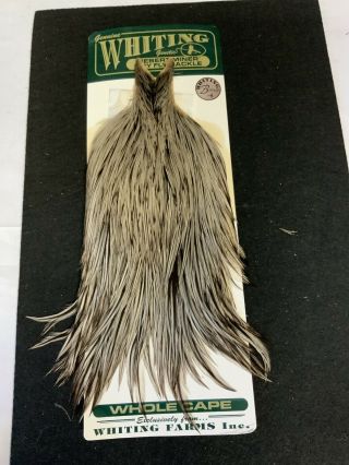 Vintage Whiting Farms Rooster Cape Feathers Fly Tying
