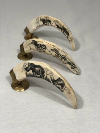 Warthog Tusk With Scrimshaw Work