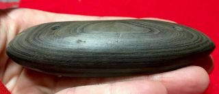 MLC S4682 Green Banded Slate Drilled Gorget Glacial Kame Artifact Relic X Ohio 3