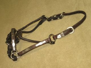 Lovely Vintage Western Weanling Size (?) Show Halter With Sterling Silver
