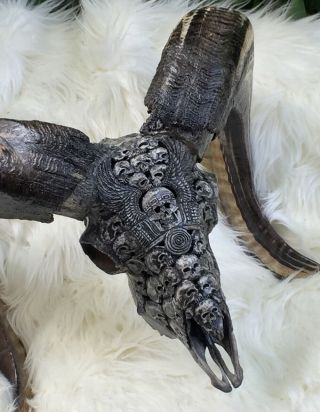Huge Skull Hand Carved Goat Ram Skull Roses Taxidermy Buffalo Bali Unique