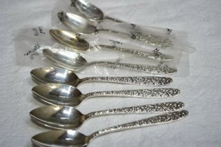 National Silver Co.  Silver Plated Flatware " Narcissus " (8) Teaspoons 6 "