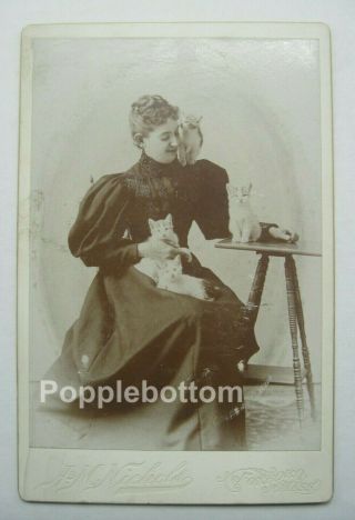 Cabinet Card Photo Of Woman Sitting With 4 Kittens Am Nichols Foxboro Ma C5