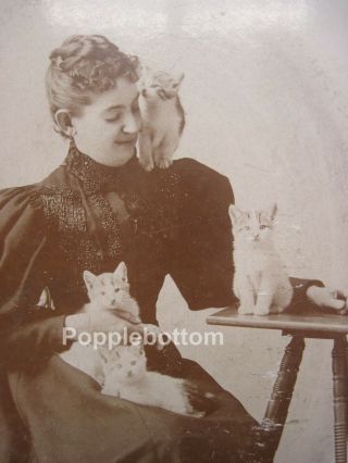 Cabinet Card Photo of Woman Sitting with 4 Kittens AM Nichols Foxboro MA C5 2