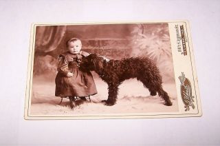 A Cute Cabinet Photo Of A Young Girl With Her Dog Circa 1890