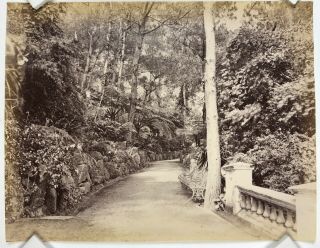 Afong Lai Chinese Albumen Large Photograph,  Park In Hong Kong China 1880s