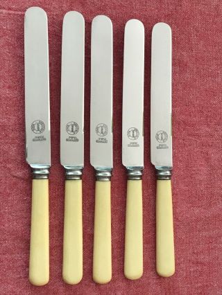 Fabulous Set Of 5 S M & Co Ltd Faux Bone Handled Dinner Knives 24.  75cm