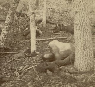1863 Civil War Battle Of Gettysburg Dead Soldiers Little Round Top Slaughter Pen