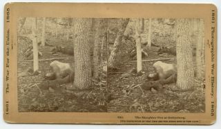 1863 Civil War BATTLE of GETTYSBURG Dead Soldiers LITTLE ROUND TOP Slaughter Pen 2