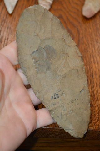 Large Woodland Dover Chert Blade Carroll Co,  Tennessee 6.  3/8 X 2.  75 Handful