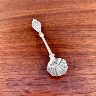 Hotchkiss & Schreuder Solid Coin Silver Salt Spoon: Medallion Pattern