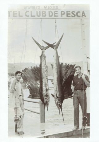 1956 Vintage Photo Lex Barker Robert Taylor Poses Swordfish Fishing Catch Mexico