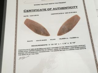 Authentic Arrowhead Agate Basin Collectors Grade Wyoming Translucent 10 3