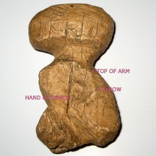 Native American Prehistoric Bird Effigy Stone Idol Artifact / Paleo / Caveman
