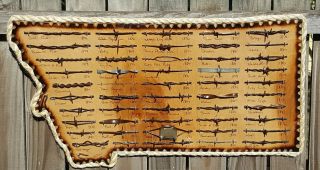 Montana Antique Barbed Wire Display 50 Cut 