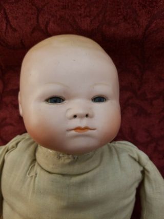 Antique German Bisque Solid Dome Head Baby Doll Arthur A Gerling 17 " Infant Doll