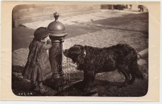 Little Girl With Dog Drinking From Fire Hydrant Charles Reid 1880s Boudoir Photo