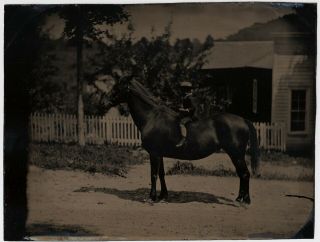 Young Boy Riding His Horse Large Whole Plate 1860s Full Plate Tintype Photo