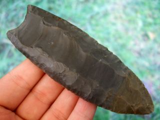 Fine 4 Inch Kentucky Clovis Point With Arrowheads Artifacts