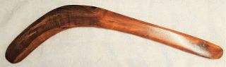 Traditional Hunting " Killer " Aboriginal Boomerang | Black Wattle Timber