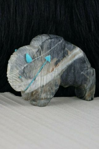 Buffalo Zuni Fetish Carving - Kevin Quam