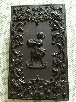 Flower Girl Daguerreotype Union Case.  With Great Ambrotypes