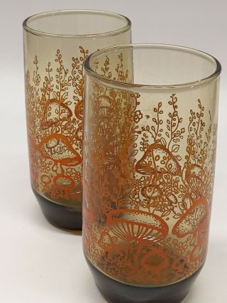 Set Of 2 Vintage Drinking Glasses W/orange Mushrooms (pre - Owned)