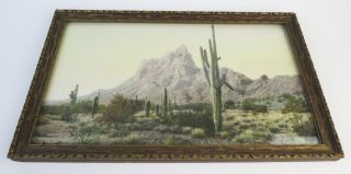 Old El Paso Texas desert landscape by photograph hand tinted Print J.  F.  Gandara 5
