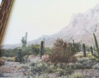 Old El Paso Texas desert landscape by photograph hand tinted Print J.  F.  Gandara 6