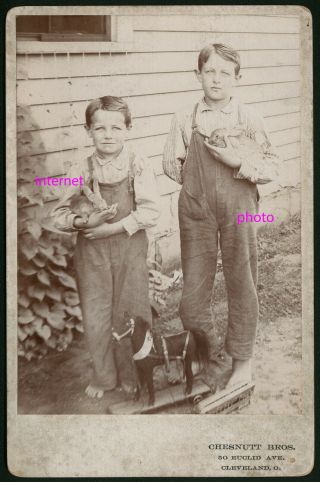 Cabinet Photo Id Barefoot,  Boys,  Overalls,  Baby Rabbit,  Horsetoy,  Cleveland,  Ohio,  1885