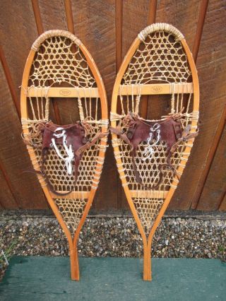 Great Vintage Snowshoes 42 " Long X 12 " Wide With Leather Bindings Ice Spikes