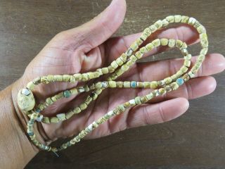 Museum Grade 34 In.  Shell & Glass Bead Necklace,  Mason Co.  W.  Virginia X Beutell