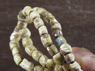 Museum grade 34 in.  shell & glass bead necklace,  Mason Co.  W.  Virginia x Beutell 3