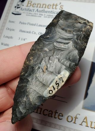 Coshocton Paleo Fluted Lance Bennett Authentic Ohio Arrowhead Artifact