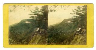 Nys - Catskills - Mountain House From North Mountain By Anthony,  Tinted