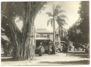 Vintage 1920s View Of Ainahau Home Of Princess Kaiulani In Honolulu Hawaii Photo