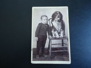 Antique Cabinet Card Photograph Of A Boy With His Large Dog In A Chair