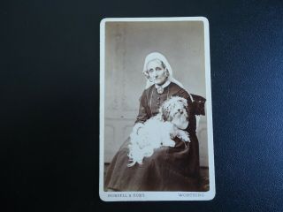Antique Cdv Photograph Of A Women Holding A Dog
