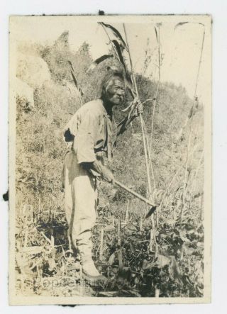 China 1920 Photograph Peiping Peking Usmc Legation Old Man Farming Photo