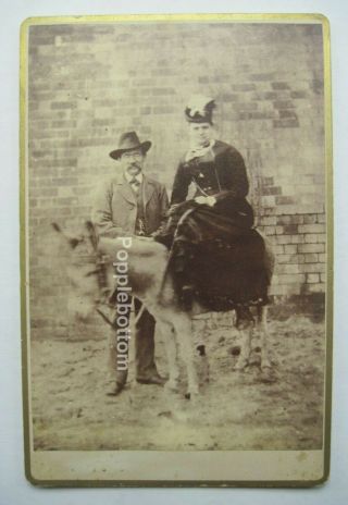 Cabinet Card Photo Of Man & Woman Sitting On Donkey Fitchburg,  Ma C4
