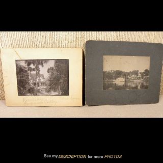 2 Antique 1890 - 1900 Photographs Cottage In Rockledge Florida