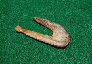 Fish Hook; 1 - 3/4 " Petrified Wood Or Bone,  Personal Find From Alachua Co,  Fl.  77 
