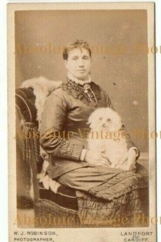 Old Cdv Photo Lady With Pet Lap Dog American Photographic Studio Portsmouth