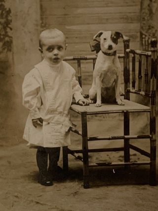 Old Vintage Photograph Little Boy With His Dog